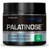palat